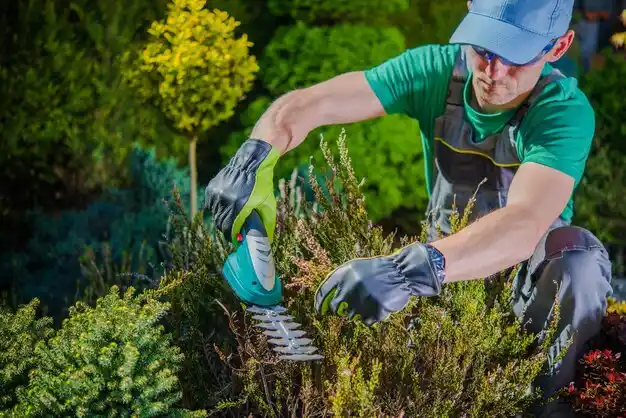 landscaping services Pass Christian